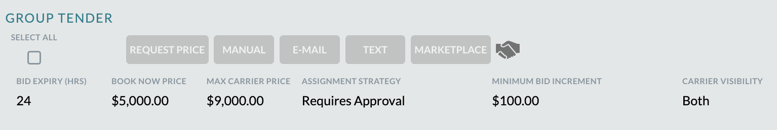 capacity strategy view 1.png